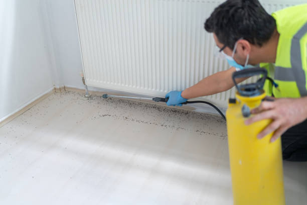 Best Cockroach Control Services  in Shell Kno, MO