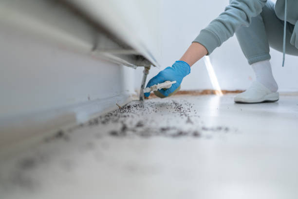 Best Emergency Pest Control  in Shell Kno, MO